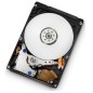 Hitachi Travelstar 5K500.B 250GB 2.5" Serial ATA II Hitachi Travelstar 5K500.B 250GB 2.5" Serial ATA II