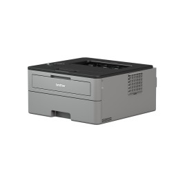 HL-L2350DW printer