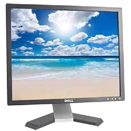 Ecran 19" 4:3 LCD Dell E198FBP